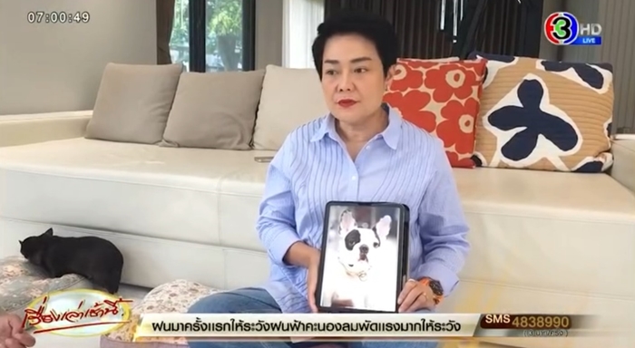 พะแพง สุนัขโคลนนิ่งจากตัวที่ตายไปแล้ว เจ้าของยอมควัก 6 ล้าน ตัวแรกของไทย พะแพง สุนัขโคลนนิ่งจากตัวที่ตายไปแล้ว เจ้าของยอมควัก 6 ล้าน ตัวแรกของไทย