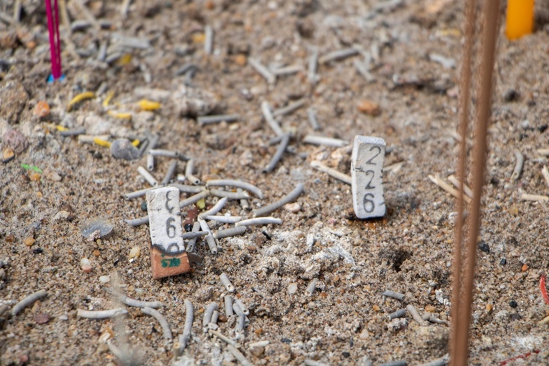 10 อันดับ เลขเด็ดงวดนี้ 16 ก.ย. 68 ขายดี จากหวยแม่จำเนียร 10 อันดับ เลขเด็ดงวดนี้ 16 ก.ย. 68 ขายดี จากหวยแม่จำเนียร