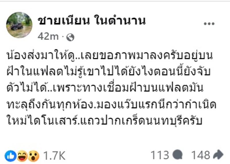 ตัวเงินตัวทอง ร่วงจากเพดาน ตัวเงินตัวทอง ร่วงจากเพดาน