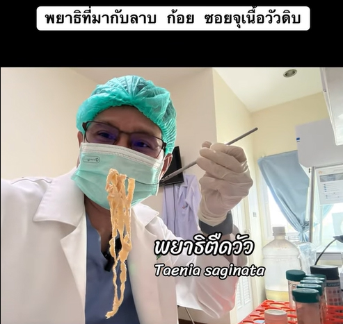 พยาธิตัวตืด พยาธิตัวตืด