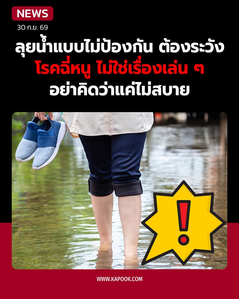 โรคฉี่หนู โรคฉี่หนู