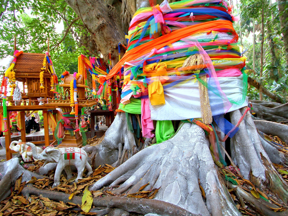 หวยปฏิทินคำชะโนด เลขเด็ดงวดนี้ 16 มิ.ย. 69 หวยปฏิทินคำชะโนด เลขเด็ดงวดนี้ 16 มิ.ย. 69