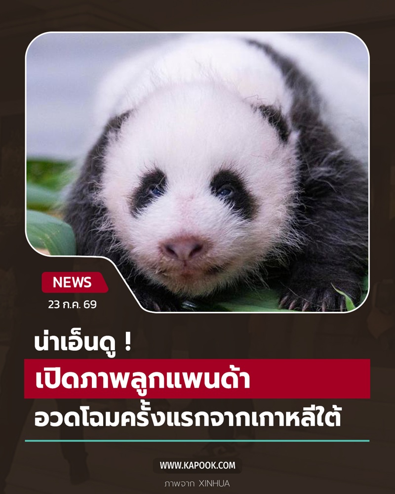แพนด้า เกาหลีใต้ แพนด้า เกาหลีใต้