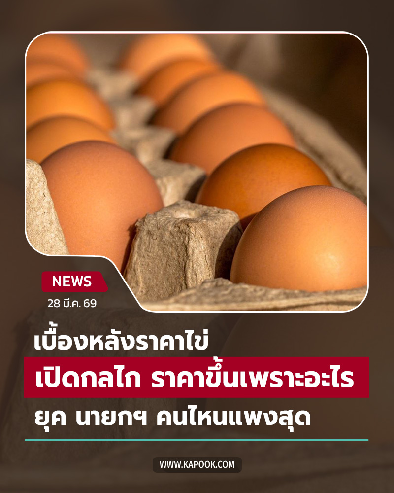 ราคาไข่ไก่ ราคาไข่ไก่