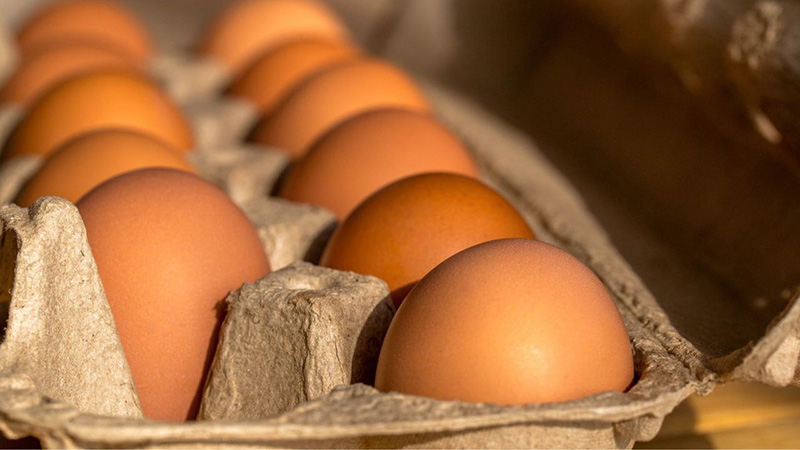 ราคาไข่ไก่ ราคาไข่ไก่