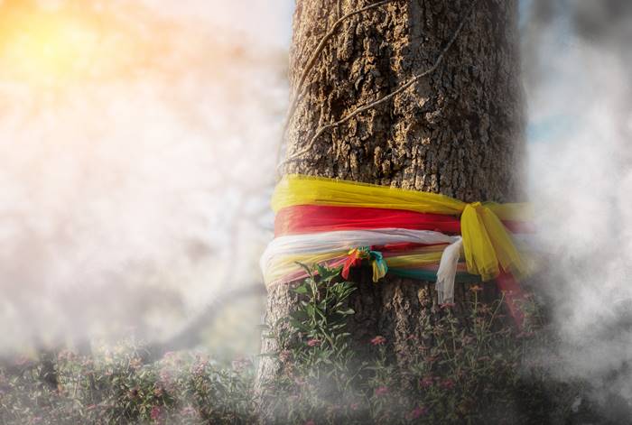 หวยต้นตะเคียนทอง 16 เม.ย. 69 หวยต้นตะเคียนทอง 16 เม.ย. 69