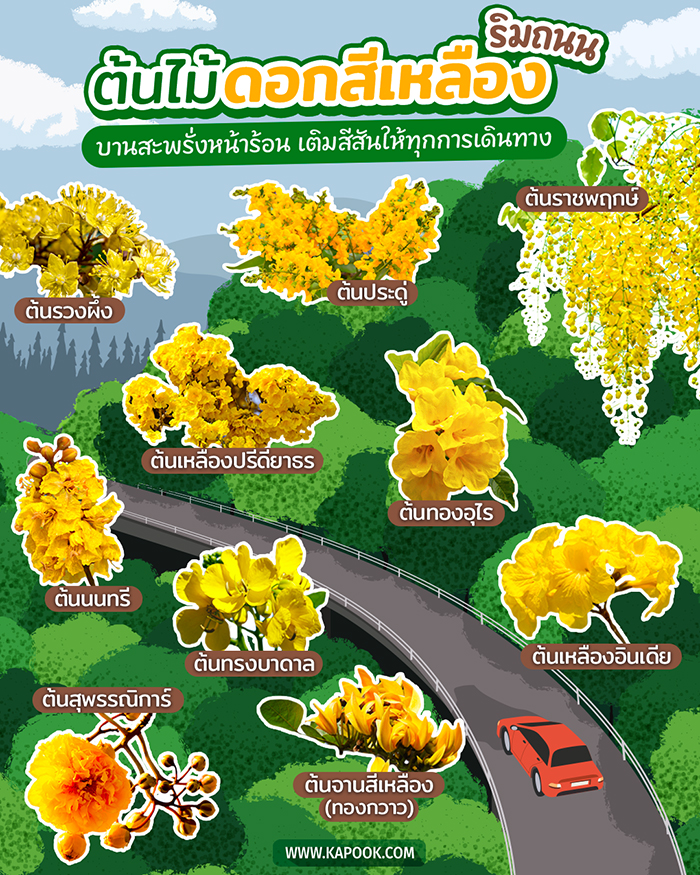 ไม้ยืนต้นดอกสีเหลือง ไม้ยืนต้นดอกสีเหลือง