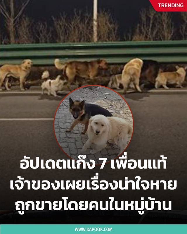 สุนัขแสนรู้ สุนัขแสนรู้