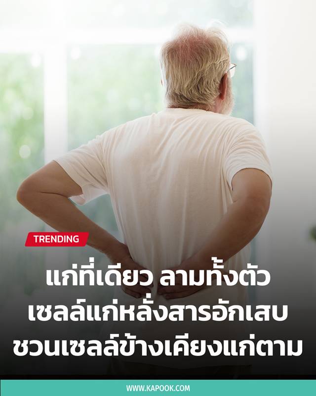 คนแก่ คนแก่