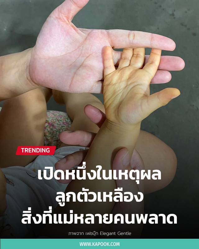 ลูกตัวเหลือง ลูกตัวเหลือง