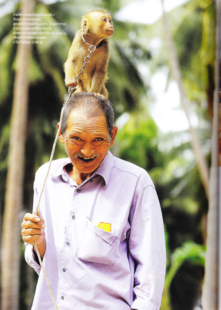 ทับสะแก ทับสะแก