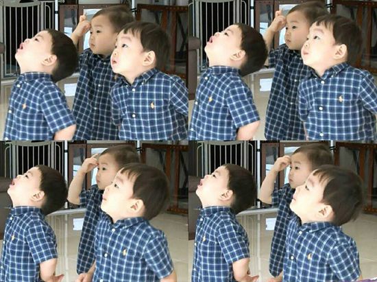 ฝาแฝด 3 ของซองอิลกุก ฝาแฝด 3 ของซองอิลกุก