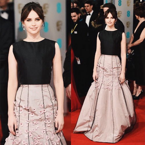 แฟชั่นพรมแดง แฟชั่นพรมแดง