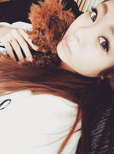 อินสตาแกรม อินสตาแกรม