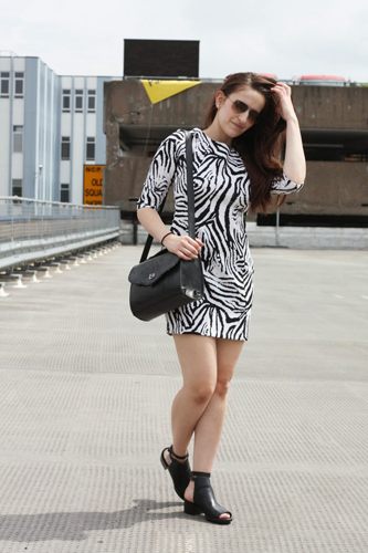 แฟชั่นลายม้าลาย แฟชั่นลายม้าลาย