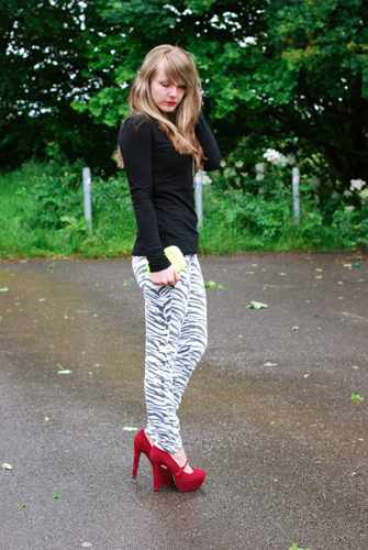 แฟชั่นลายม้าลาย แฟชั่นลายม้าลาย