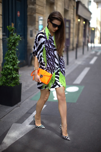 แฟชั่นลายม้าลาย แฟชั่นลายม้าลาย