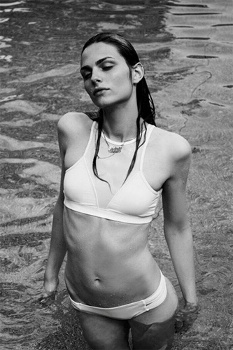 อังเดร เพชิค อังเดร เพชิค