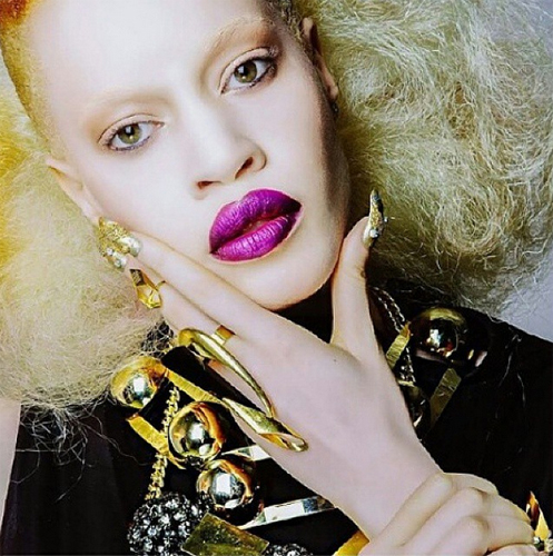 ไดแอนดรา ฟอเรสต์ ไดแอนดรา ฟอเรสต์