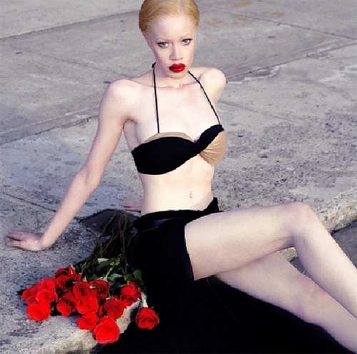 ไดแอนดรา ฟอเรสต์ ไดแอนดรา ฟอเรสต์