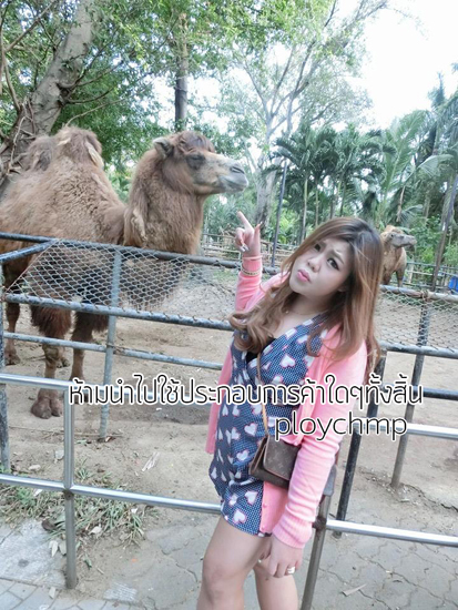 อ้วนดำ อ้วนดำ