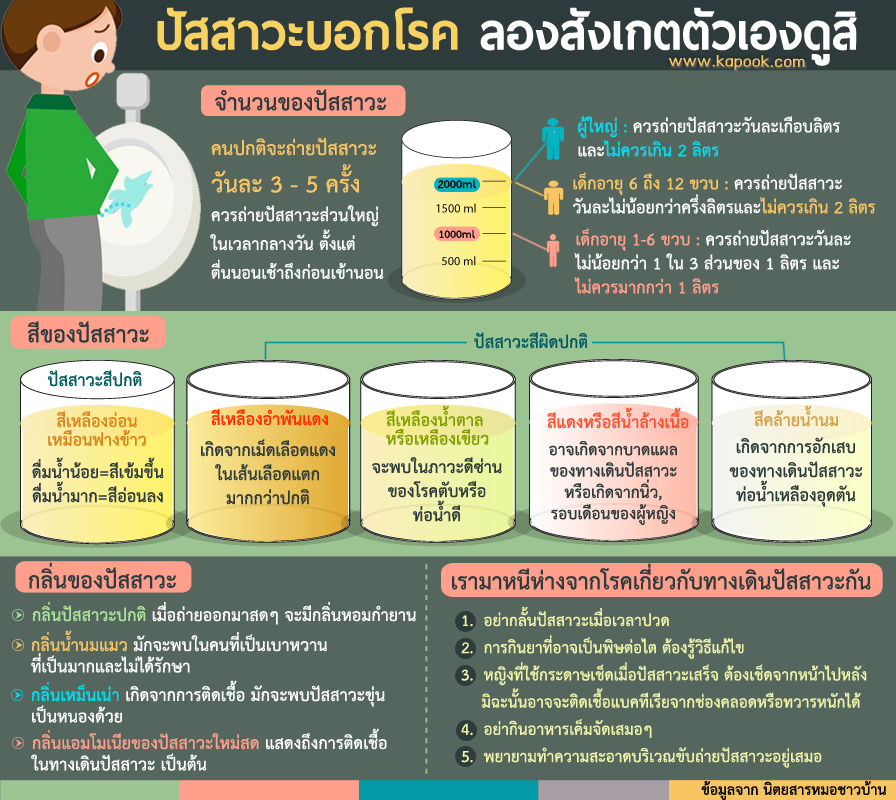 สีของปัสสาวะบอกโรค กลิ่นปัสสาวะบอกโรค ลองตรวจสุขภาพดู