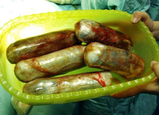 แก๊งค้ายาใช้สุนัขขนยาเสพติด