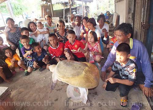 ชาวโคราชแห่ดู ตะพาบเผือกยักษ์ เผยให้เลขเด็ดอย่างแม่น ชาวโคราชแห่ดู ตะพาบเผือกยักษ์ เผยให้เลขเด็ดอย่างแม่น