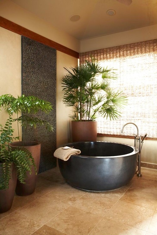 จัดสวนในห้องน้ำ ปลูกต้นไม้ในห้องน้ำ จัดสวนในห้องน้ำ ปลูกต้นไม้ในห้องน้ำ