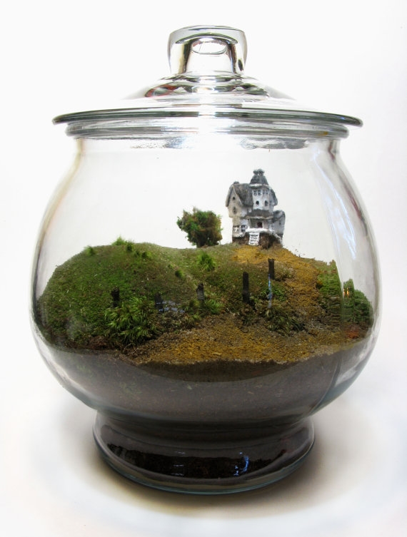 terrarium สวนขวดแก้ว terrarium สวนขวดแก้ว