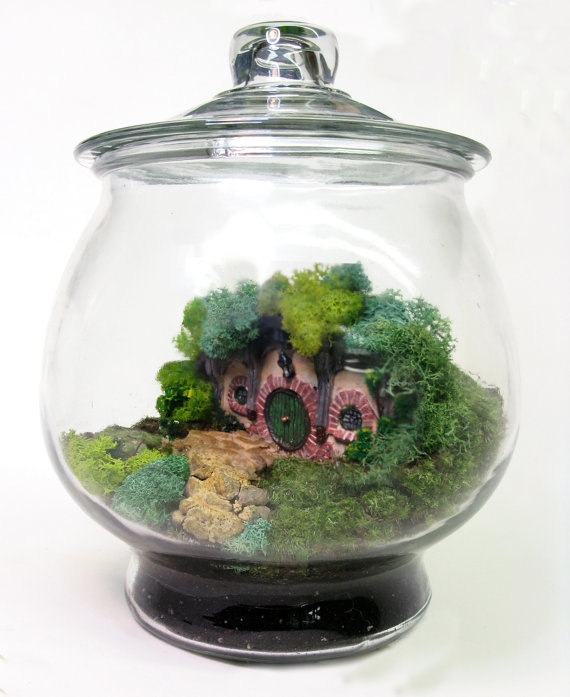terrarium สวนขวดแก้ว terrarium สวนขวดแก้ว