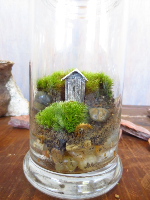 terrarium สวนขวดแก้ว terrarium สวนขวดแก้ว