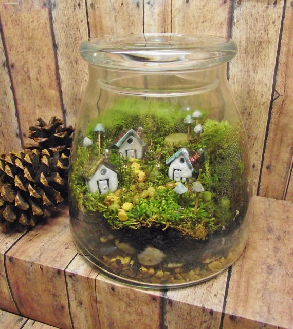terrarium สวนขวดแก้ว terrarium สวนขวดแก้ว