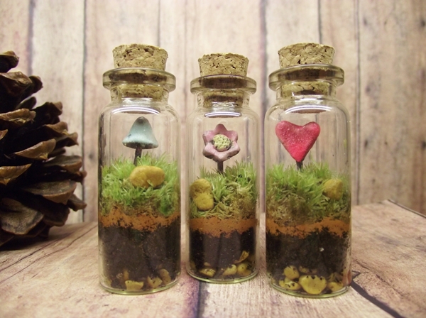 terrarium สวนขวดแก้ว terrarium สวนขวดแก้ว