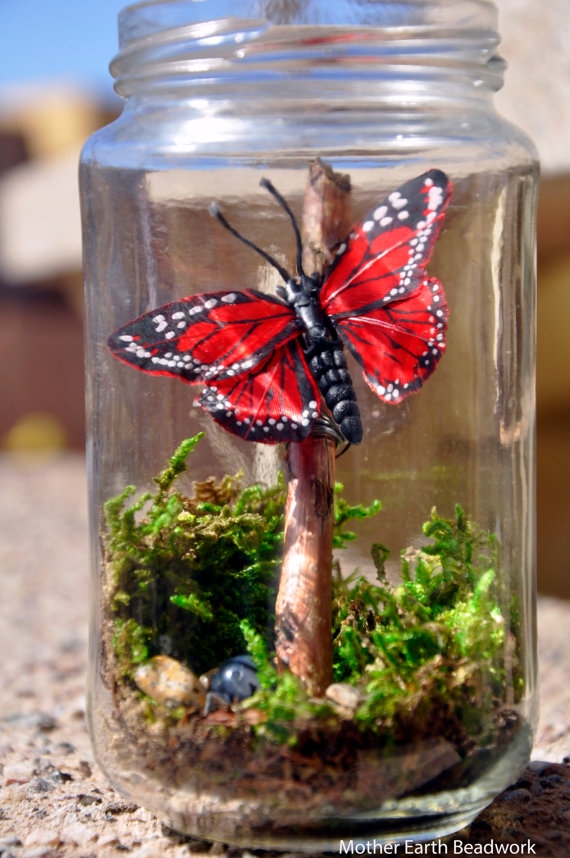 terrarium สวนขวดแก้ว terrarium สวนขวดแก้ว