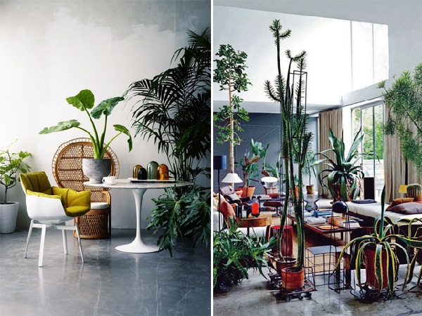 25 สวนในบ้านสวย ๆ ไอเดียจัดสวนในบ้าน 25 สวนในบ้านสวย ๆ ไอเดียจัดสวนในบ้าน