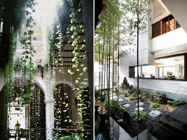 25 สวนในบ้านสวย ๆ ไอเดียจัดสวนในบ้าน 25 สวนในบ้านสวย ๆ ไอเดียจัดสวนในบ้าน