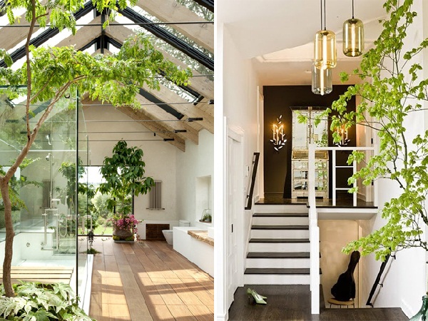 25 สวนในบ้านสวย ๆ ไอเดียจัดสวนในบ้าน 25 สวนในบ้านสวย ๆ ไอเดียจัดสวนในบ้าน