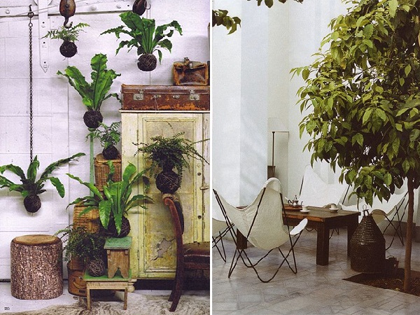 25 สวนในบ้านสวย ๆ ไอเดียจัดสวนในบ้าน 25 สวนในบ้านสวย ๆ ไอเดียจัดสวนในบ้าน