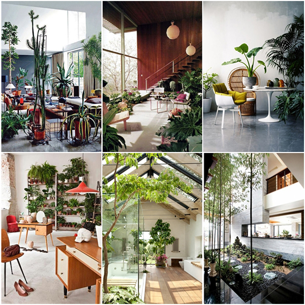 25 สวนในบ้านสวย ๆ ไอเดียจัดสวนในบ้าน 25 สวนในบ้านสวย ๆ ไอเดียจัดสวนในบ้าน