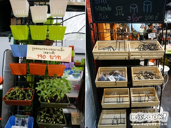 บ้านและสวนแฟร์ midyear 2014 บ้านและสวนแฟร์ midyear 2014