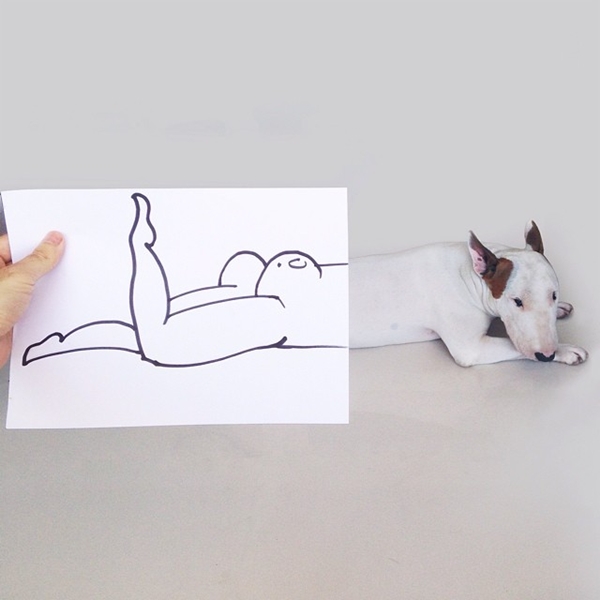 แอคชั่นเจ๋ง ๆ แนวการ์ตูนของน้องหมาบูลเทอร์เรีย แอคชั่นเจ๋ง ๆ แนวการ์ตูนของน้องหมาบูลเทอร์เรีย