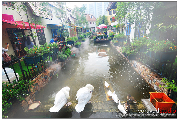 มิโมซ่า พัทยา มิโมซ่า พัทยา