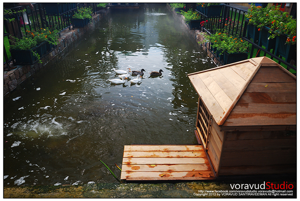 มิโมซ่า พัทยา มิโมซ่า พัทยา