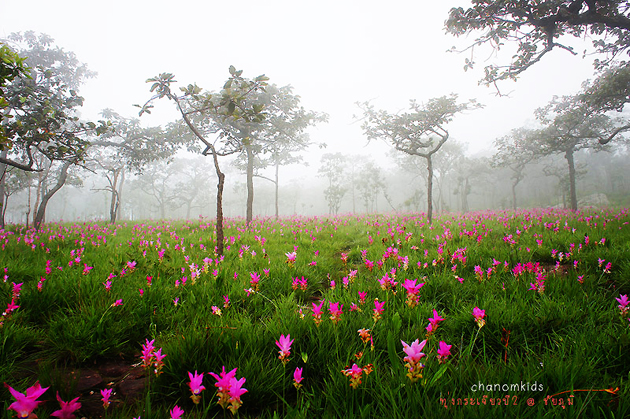 ท่องเที่ยวไทย ท่องเที่ยวไทย