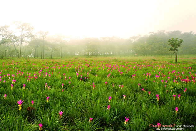 ท่องเที่ยวไทย ท่องเที่ยวไทย