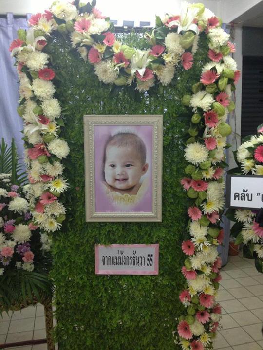น้องโมจิ น้องโมจิ