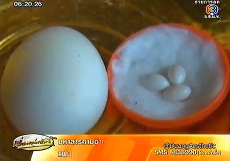 หวย เลขเด็ดงวดนี้ ชาวบ้านแห่ดูไข่เป็ดจิ๋ว 3 ฟอง ขอ เลขเด็ด