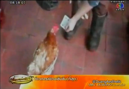 ไก่อัจฉริยะ