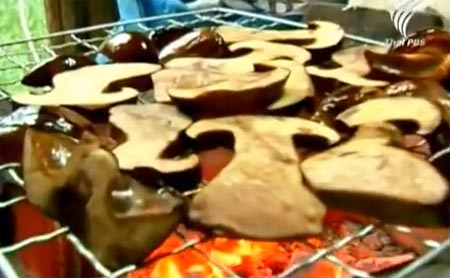 ซุปเห็ดตับเต่า